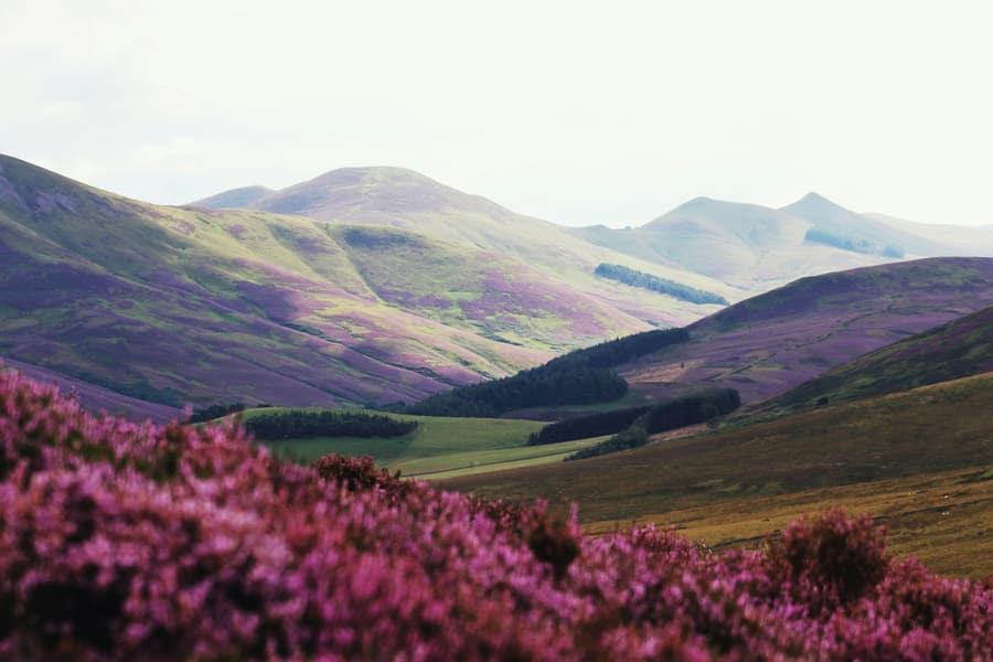 View over Scottish Highlands